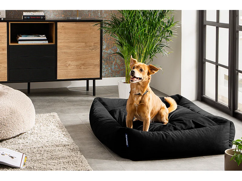 Hundebett - Schwarz - CANINI