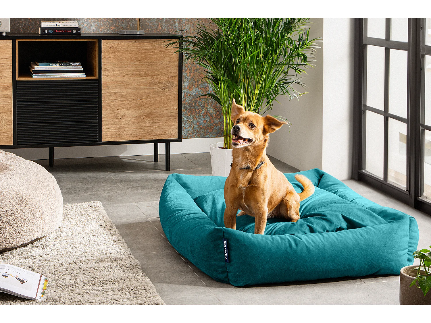 Hundebett - Türkis - CANINI