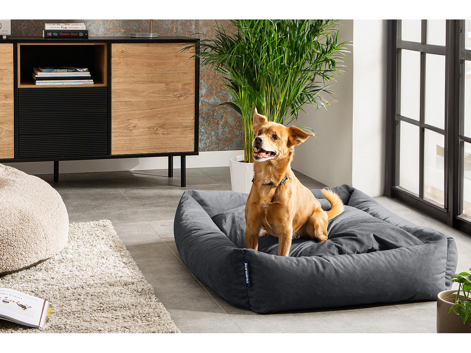 Hundebett - Grau - CANINI