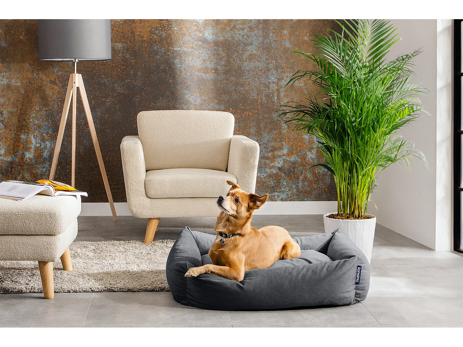 Hundebett - Grau - CANINI