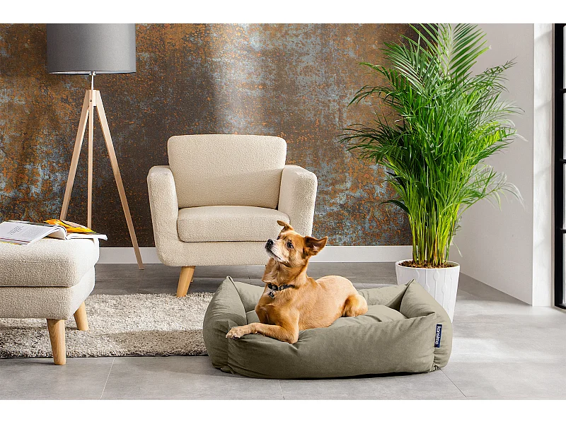 Hundebett - Beige - CANINI