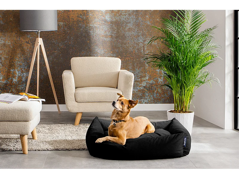 Hundebett - Schwarz - CANINI