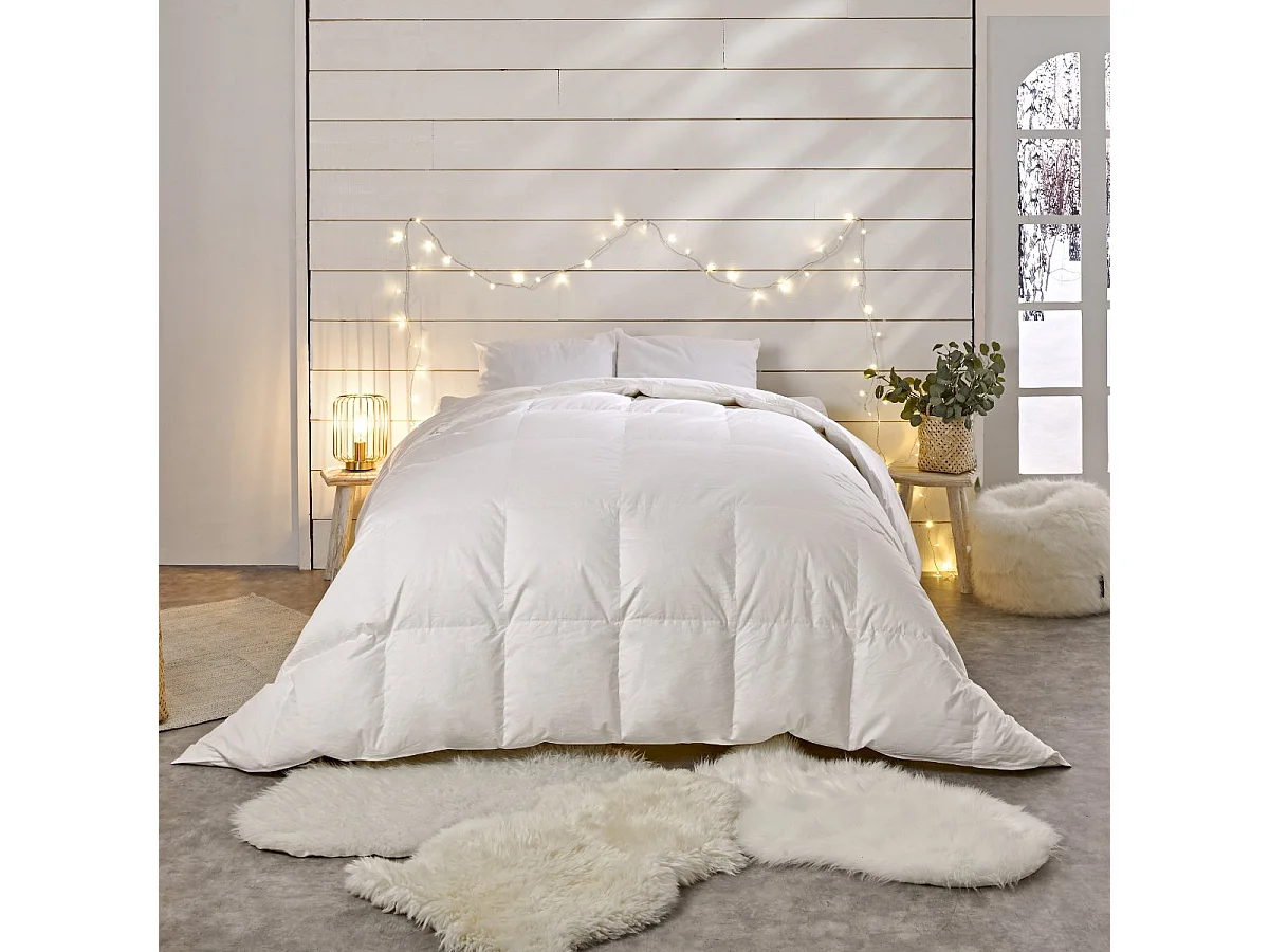 Couette Chaude 90% Duvet de Canard - 200x200cm