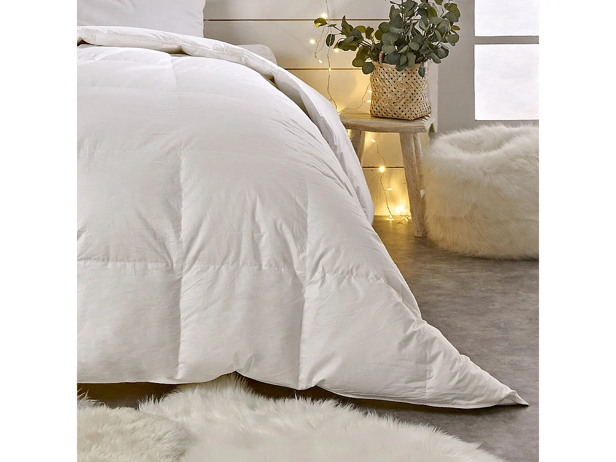 Couette Chaude 90% Duvet de Canard - 200x200cm