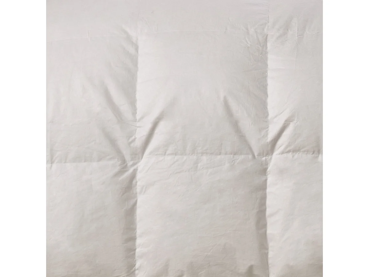 Couette Chaude 90% Duvet de Canard - 200x200cm