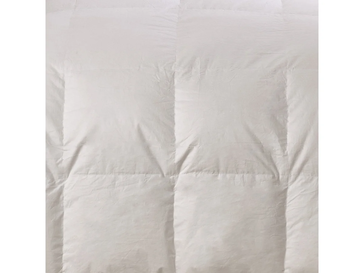 Couette Chaude 90% Duvet de Canard - 200x200cm