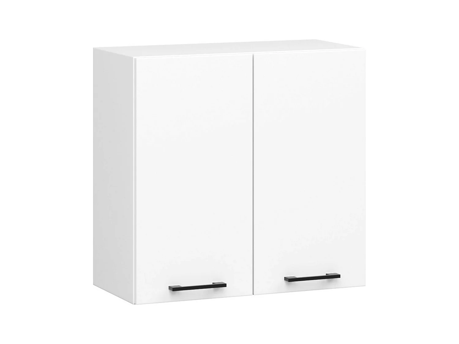Oliwia Hangende Kast W60 H580 Wit - 2 Deuren, 2 Planken, B29ocomplete