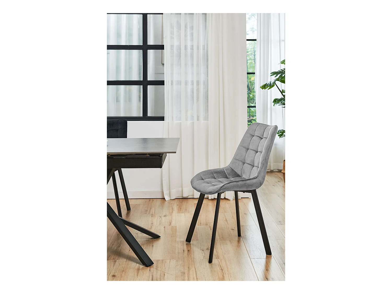 Lot de 2 chaises matelassées de salle à manger en velours AKORD SJ.22 Grise