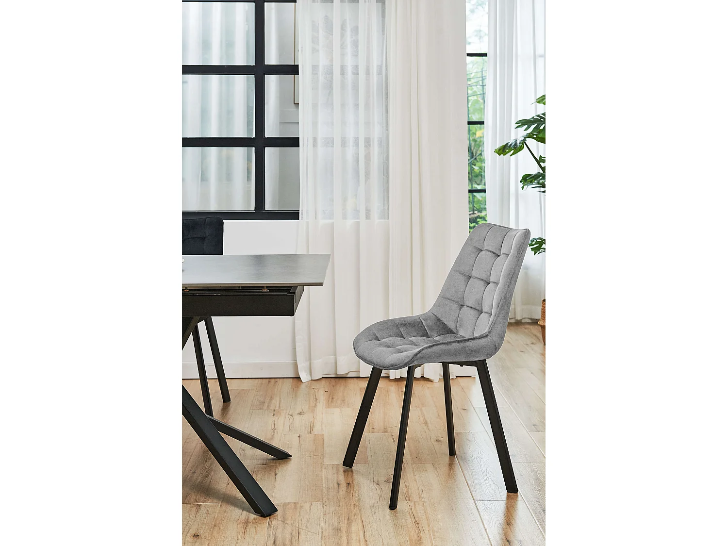 Lot de 4 chaises matelassées de salle à manger en velours AKORD SJ.22 Grise