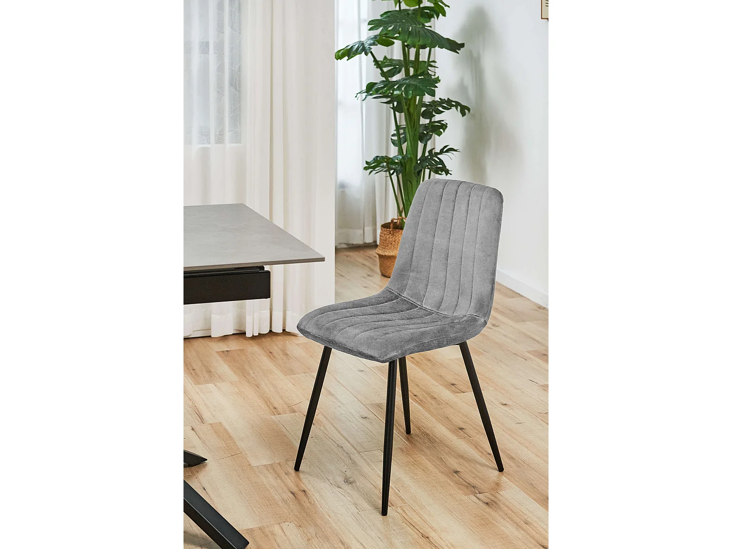 Lot de 4 chaises matelassées de salle à manger en velours AKORD SJ.9 Grise