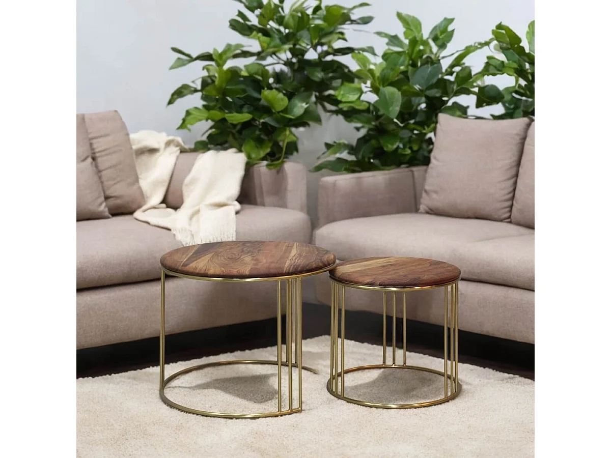 RANDY - Lot de 2 Tables Gigogne Plateau en Acacia Massif Piètement Acier Doré