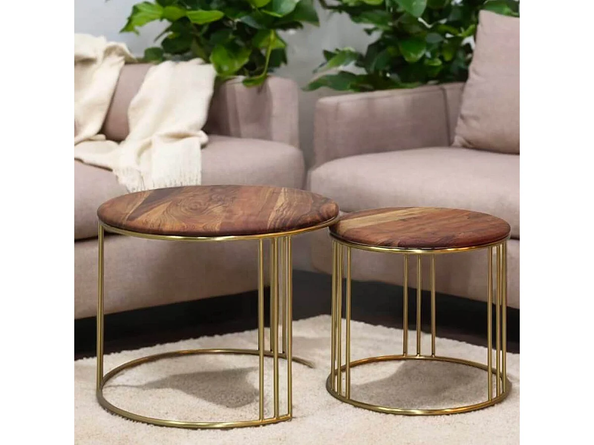 RANDY - Lot de 2 Tables Gigogne Plateau en Acacia Massif Piètement Acier Doré