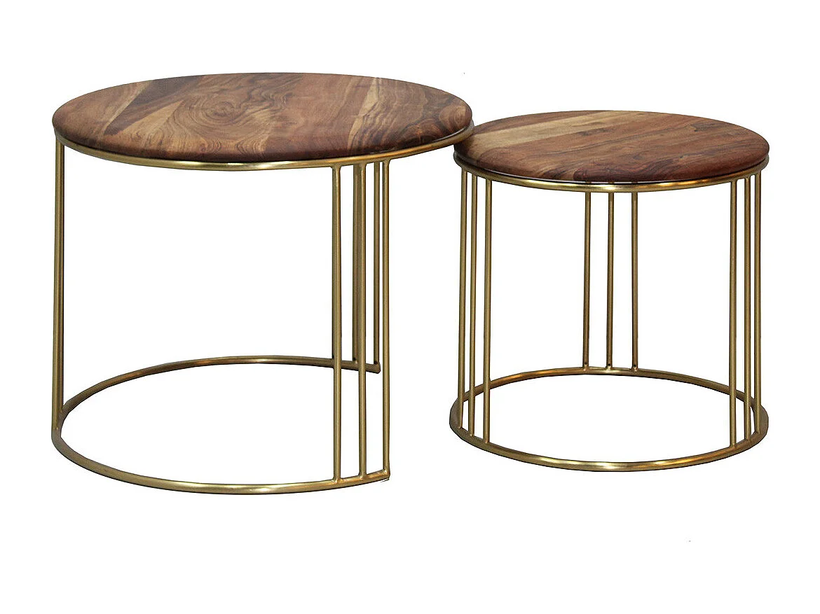 RANDY - Lot de 2 Tables Gigogne Plateau en Acacia Massif Piètement Acier Doré