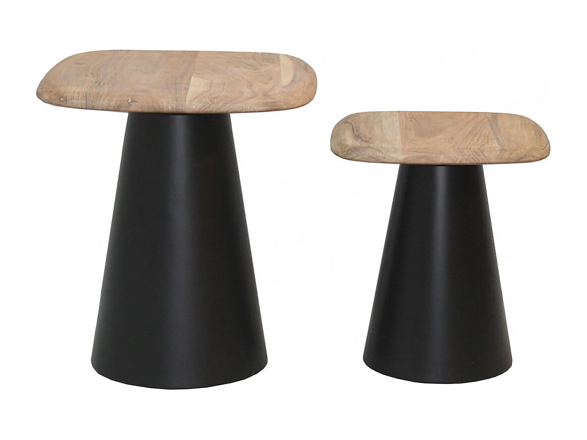 ETHAN - Lot de 2 Tables Plateau en Acacia Pied en Acier Laqué Noir