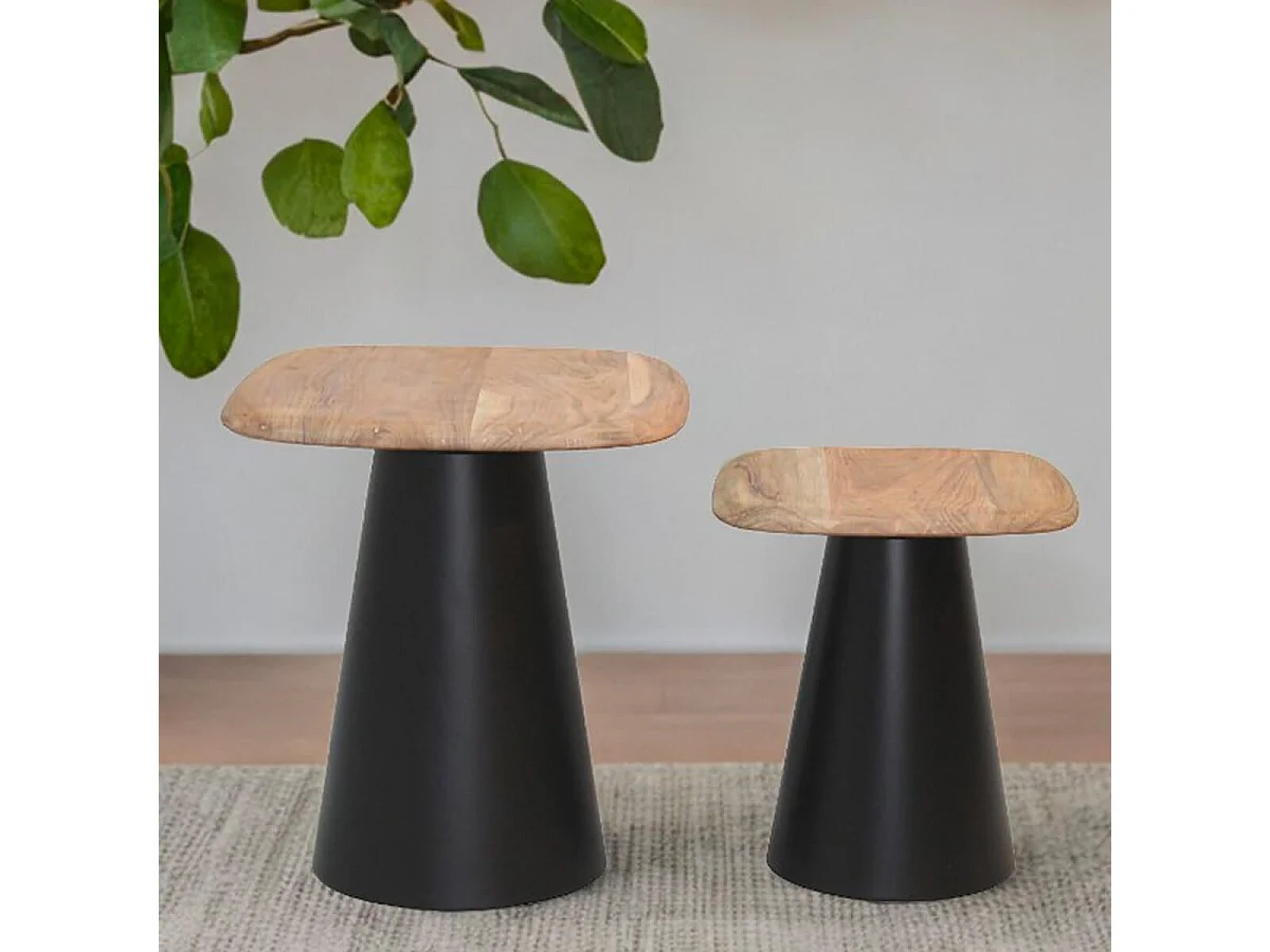 ETHAN - Lot de 2 Tables Plateau en Acacia Pied en Acier Laqué Noir