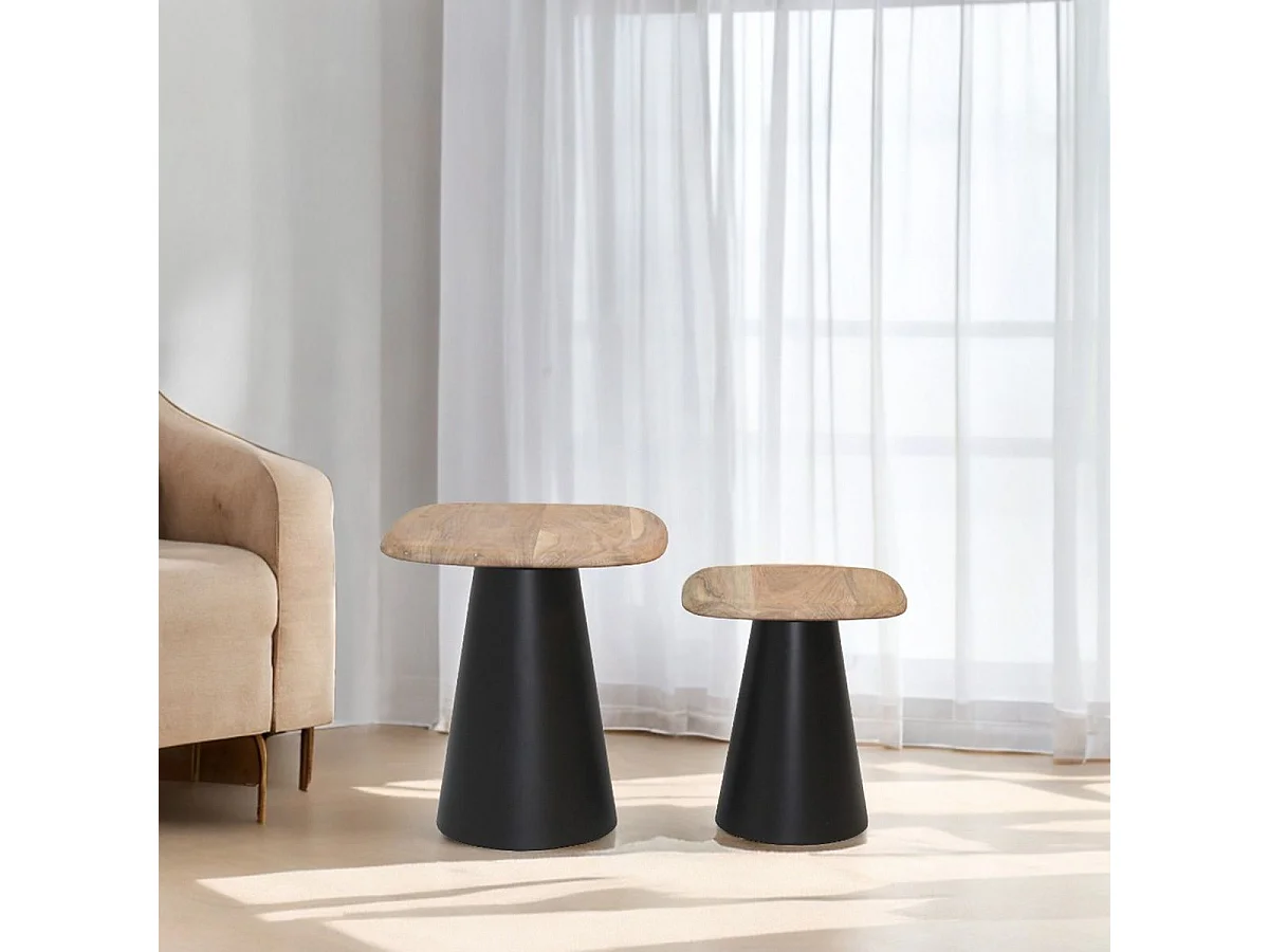 ETHAN - Lot de 2 Tables Plateau en Acacia Pied en Acier Laqué Noir