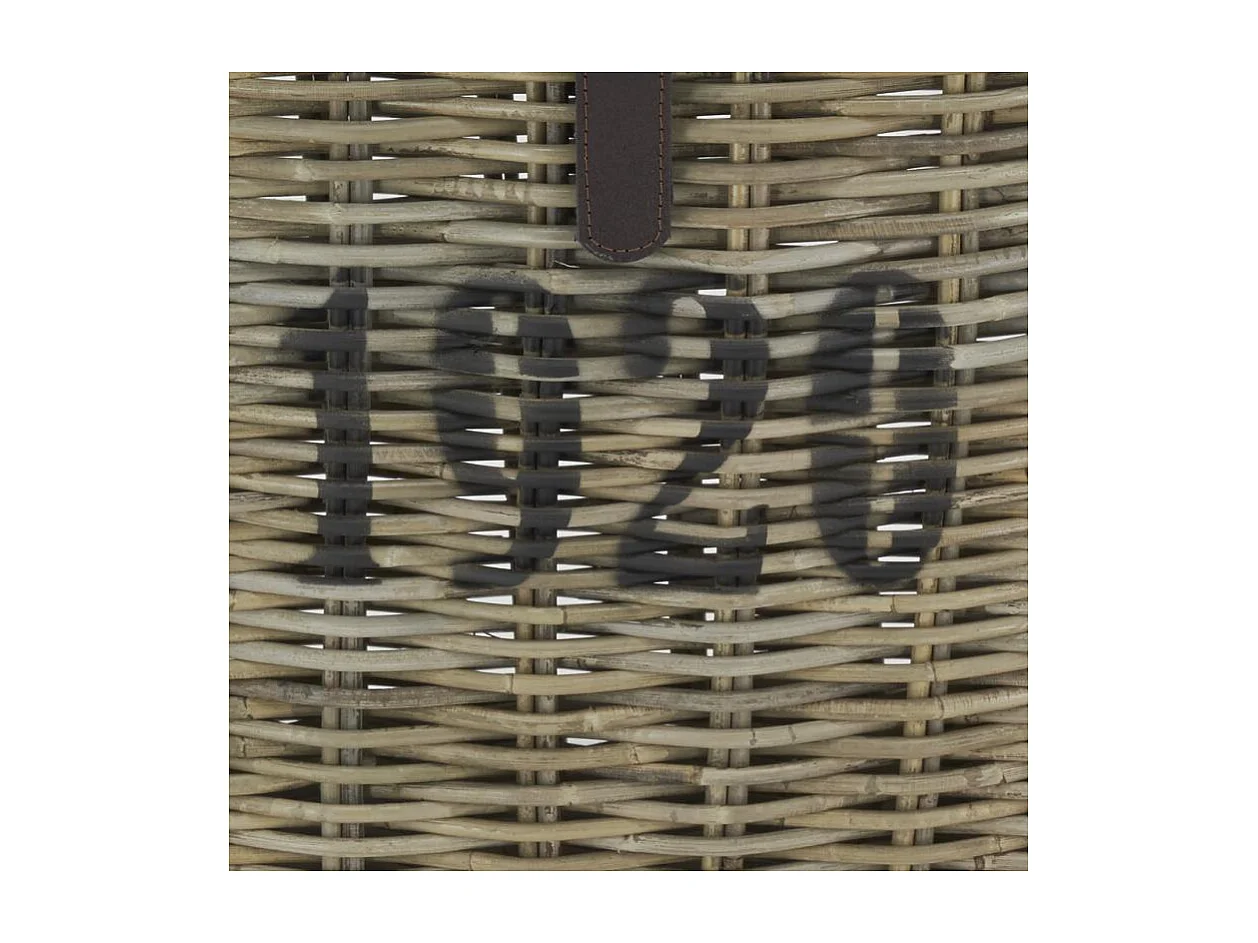 Coffre en poelet gris et cuir 1920