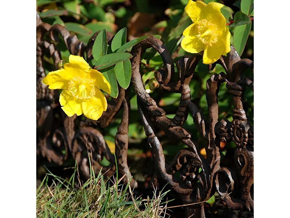 Bordurette en fonte Elegance Lot de 10