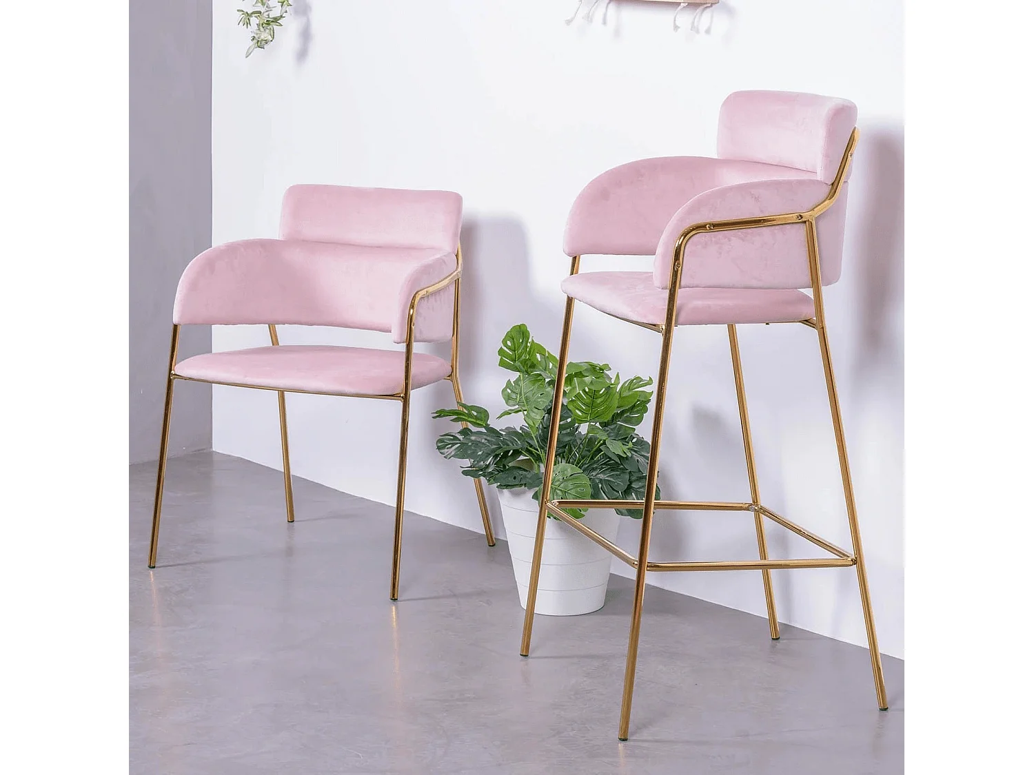 Chaise design recouverte de velours et pieds dorés - Cruiser - Rose