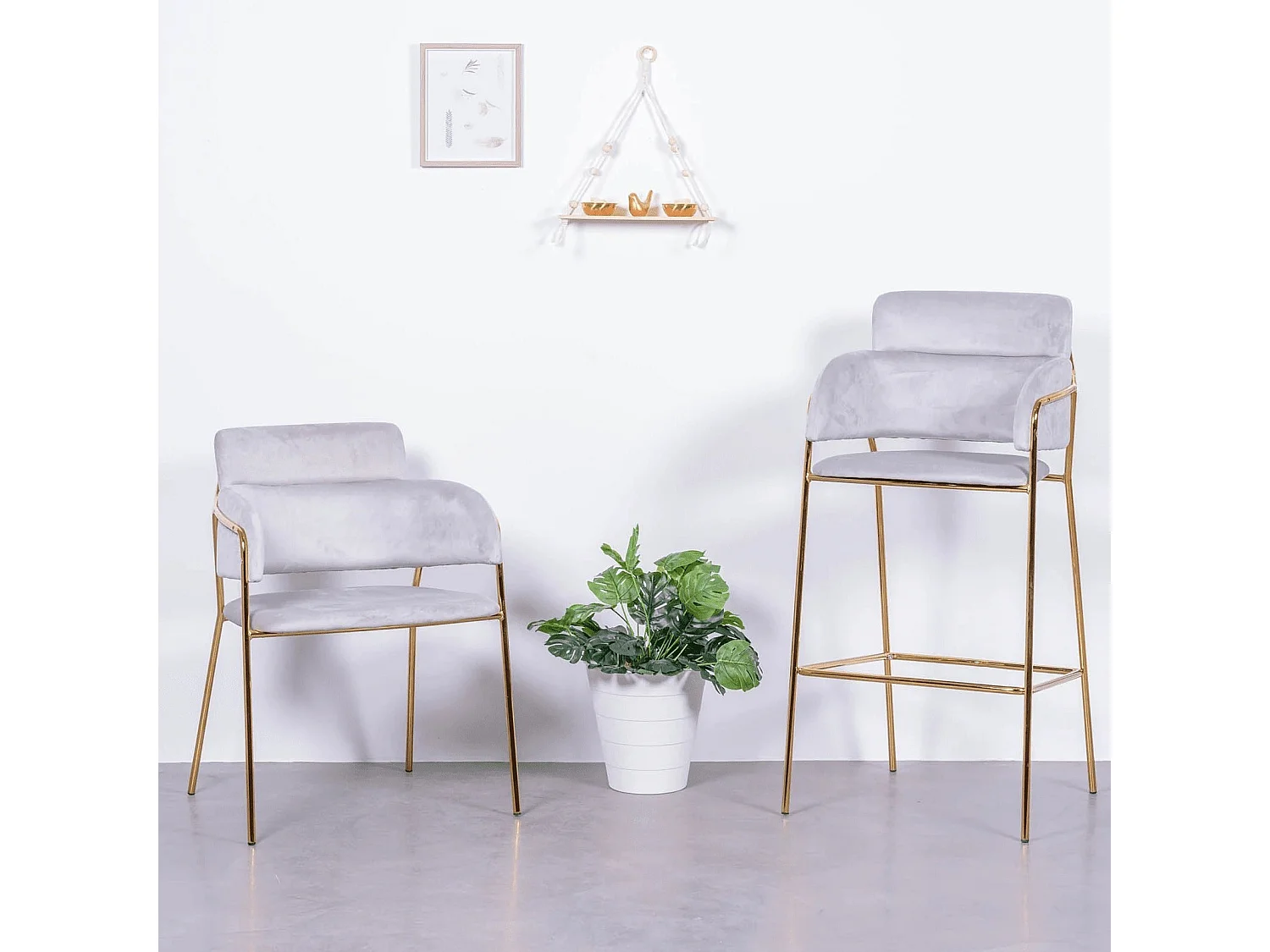 Designerstuhl mit Samtbezug und goldenen Beinen - Cruiser - Grau