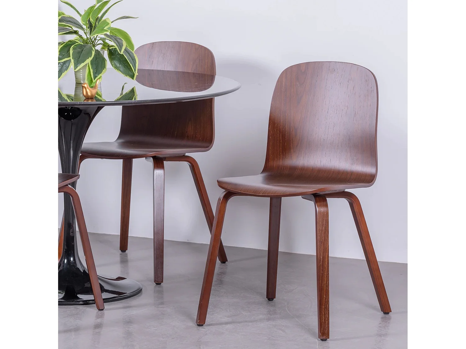 Chaise design scandinave en bois de noyer - Hut - Noyer