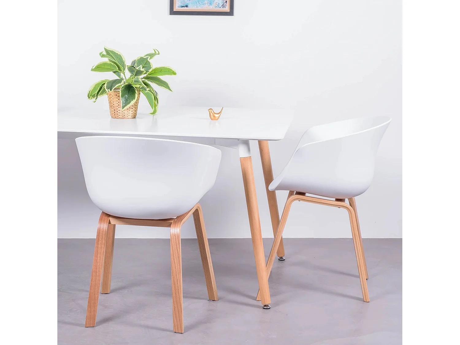 Sedia con seduta in plastica e gambe in legno di faggio - Daxer - Bianco