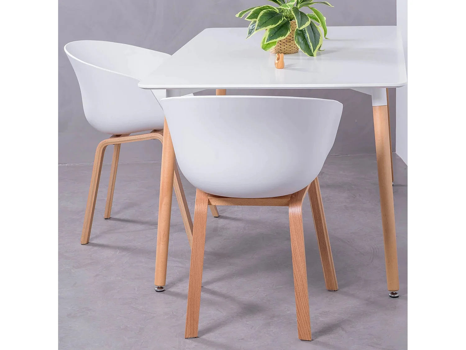 Chaise avec assise en plastique et pieds en bois de hêtre - Daxer - Blanc