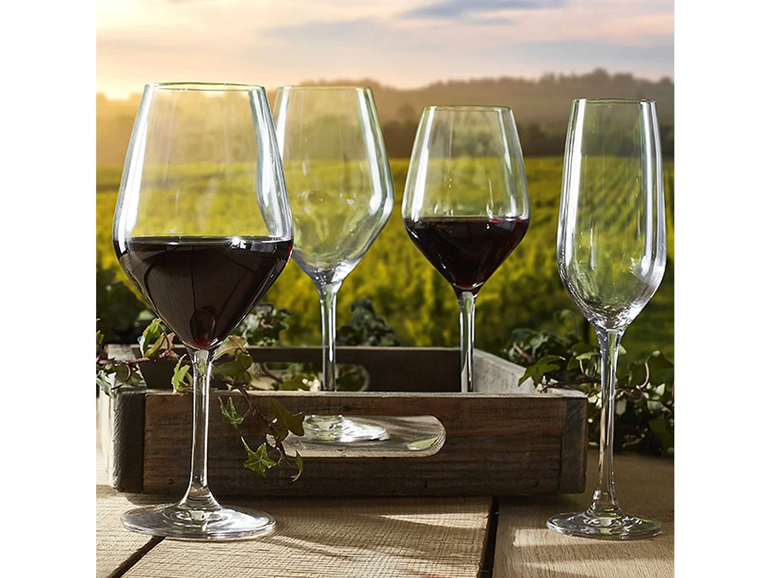 Ogo Living - Boite De 6 Verres A Pied Vin Zenith En Cristallin 48 Cl