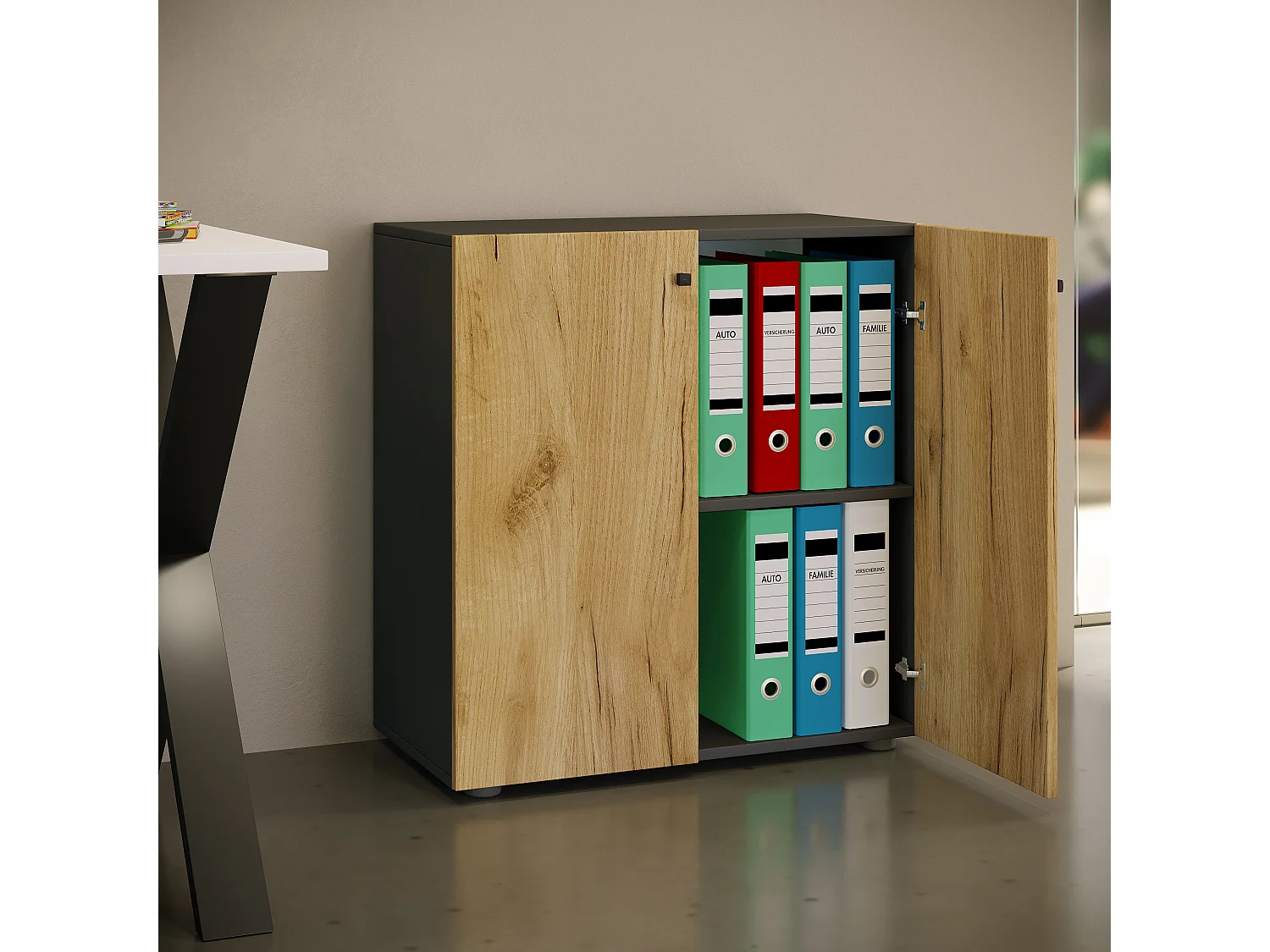 Büroschrank Bücher Ordner Aktenschrank Lona 2fach