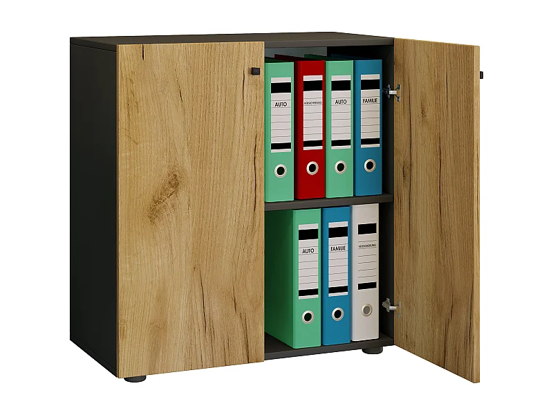 Büroschrank Bücher Ordner Aktenschrank Lona 2fach