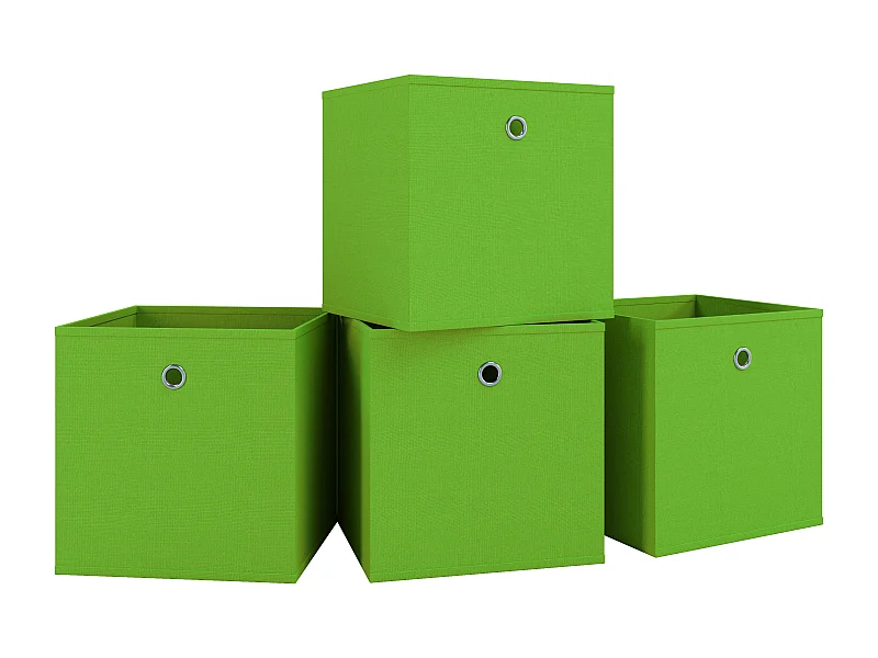 Storage Box Boxas Green 0