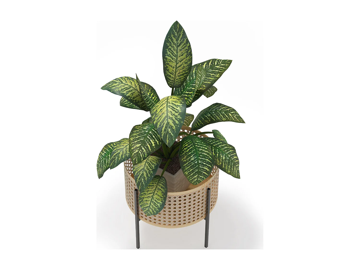 Runder Bodenpflanztopf - Boho-Stil - Fusión