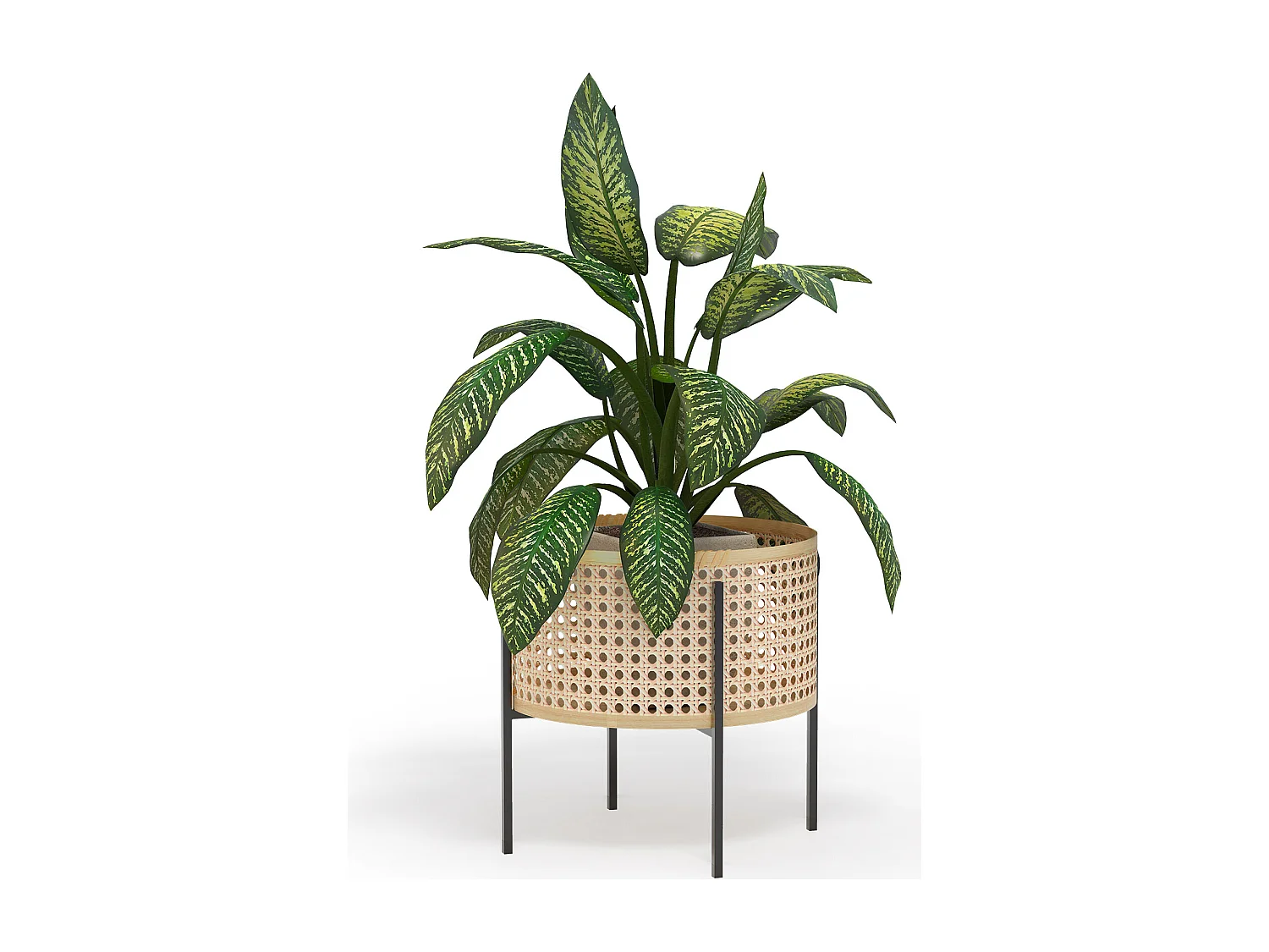 Runder Bodenpflanztopf - Boho-Stil - Fusión