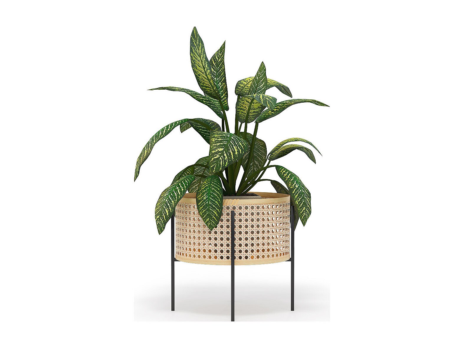 Maceta 20 Cm Macetero De Pared Estilo Boho Fabricado A Mano Macetero Mimbre, image size:1573x1180