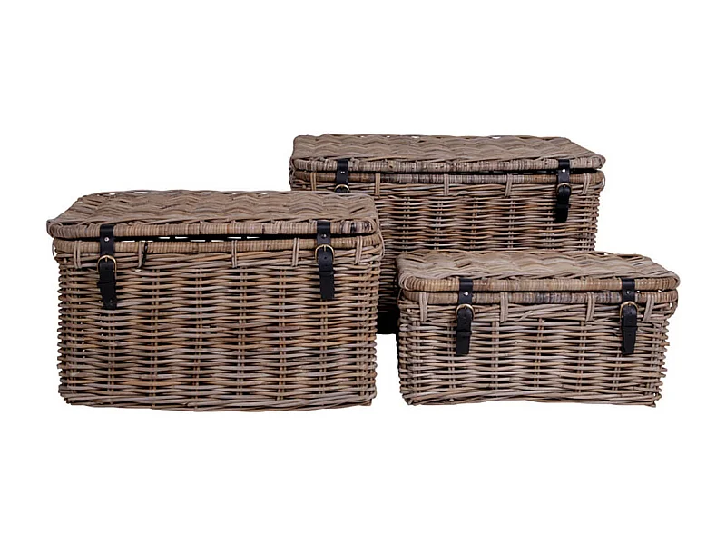 TOCON - Lot de 3 Paniers en Rotin avec Lanières en Cuir