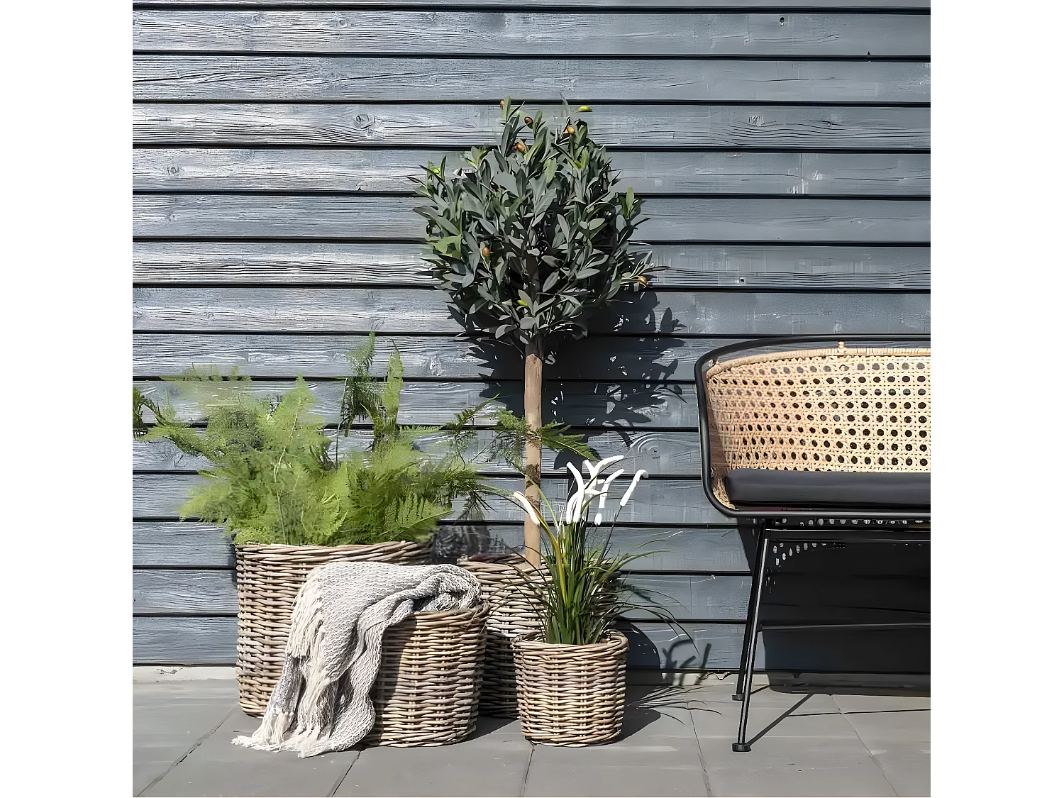 COCCO - Lot de 4 Paniers Décoratifs en Rotin Naturel