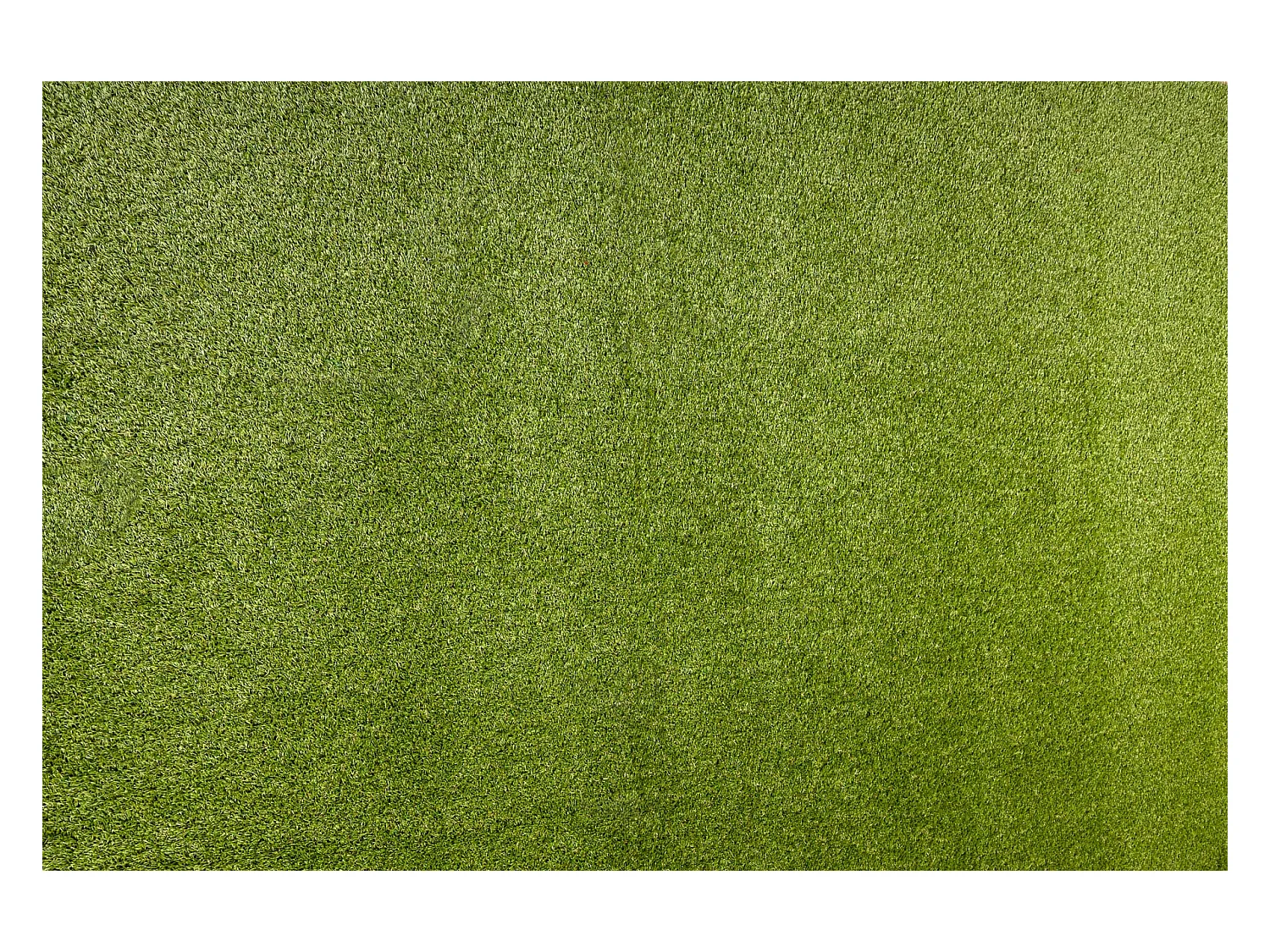 GAZON ARTIFICIEL YARA toute taille 100x1000 cm