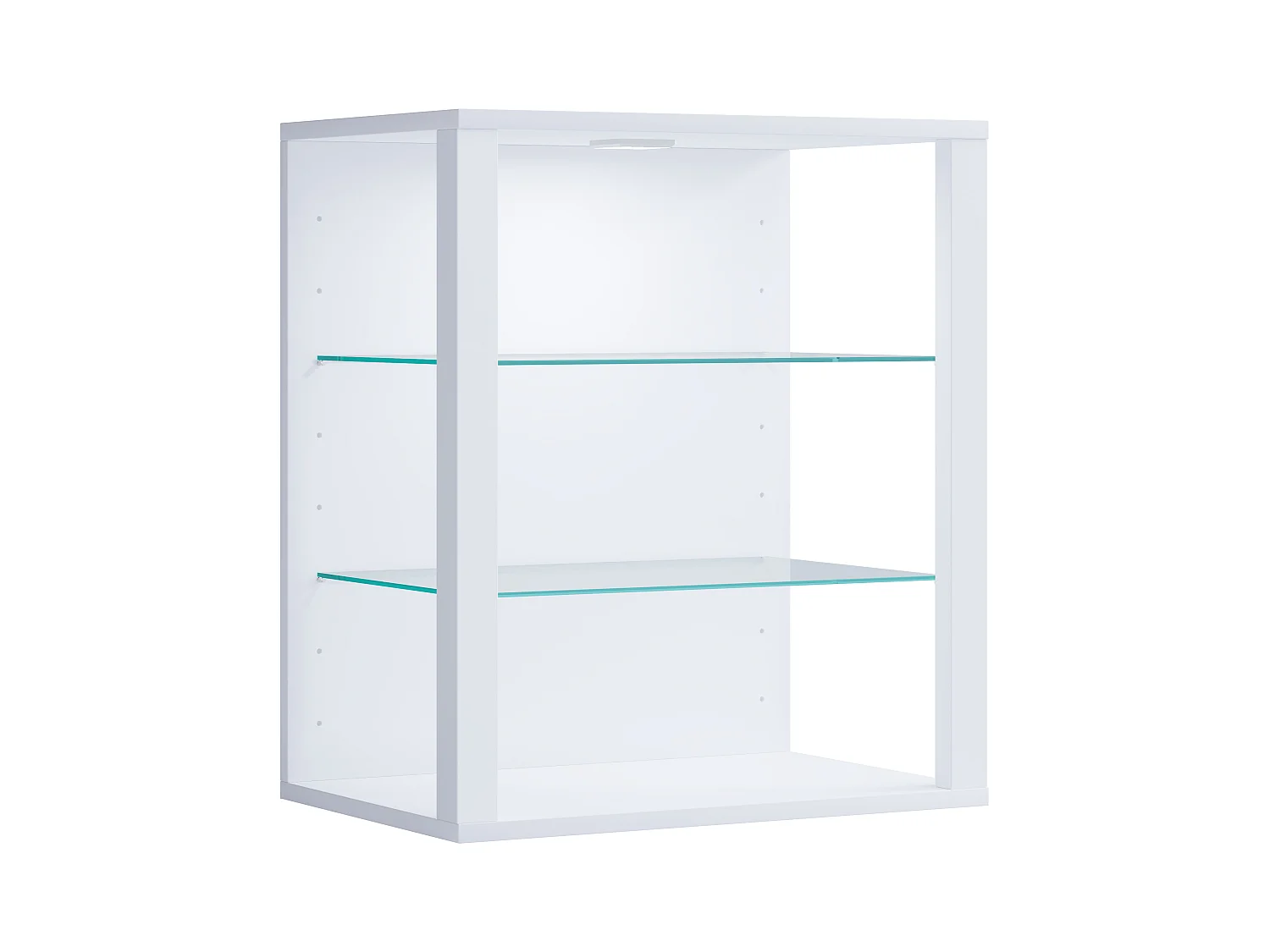 Holz Glas Stand Vitrine Sammelvitrine Glasol SW
