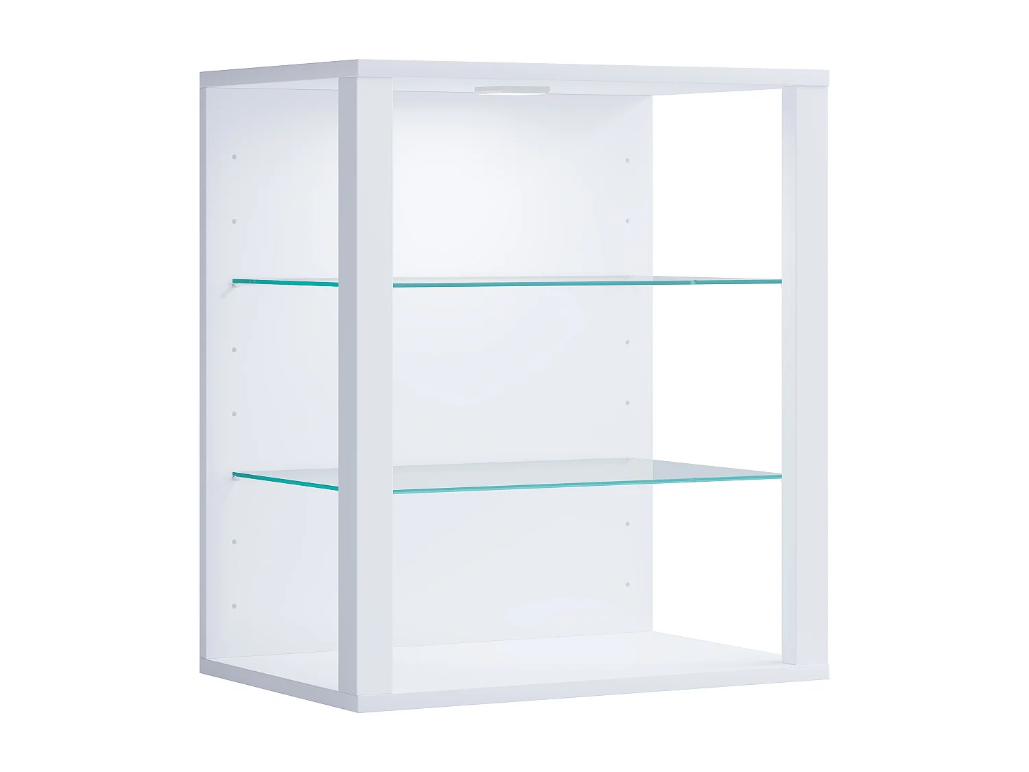 Holz Glas Stand Vitrine Sammelvitrine Glasol SW