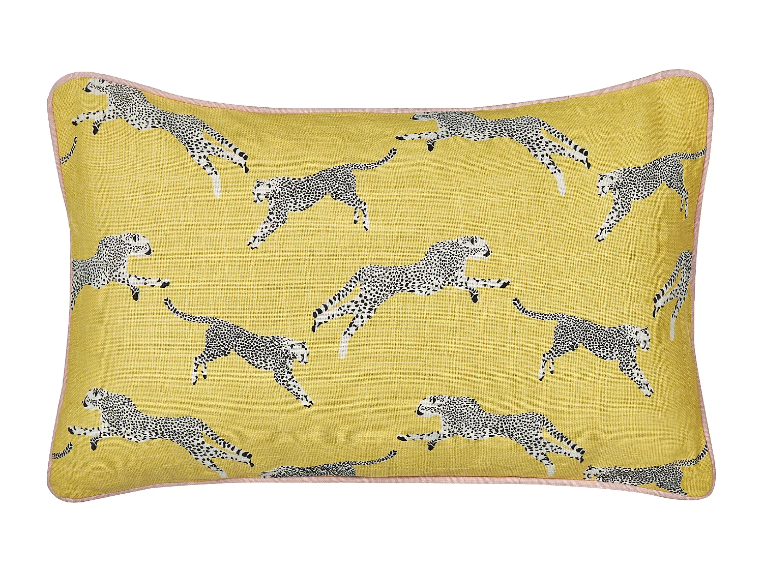 Lot de 2 coussins décoratifs ARALES Coton 30 x 50 cm Jaune