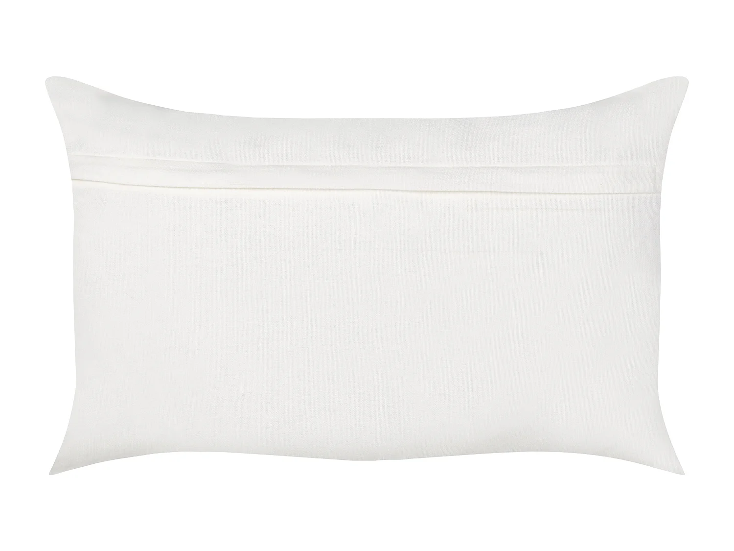 Lot de 2 coussins décoratifs SPANDOREA Coton 30 x 50 cm Vert Motif de plante