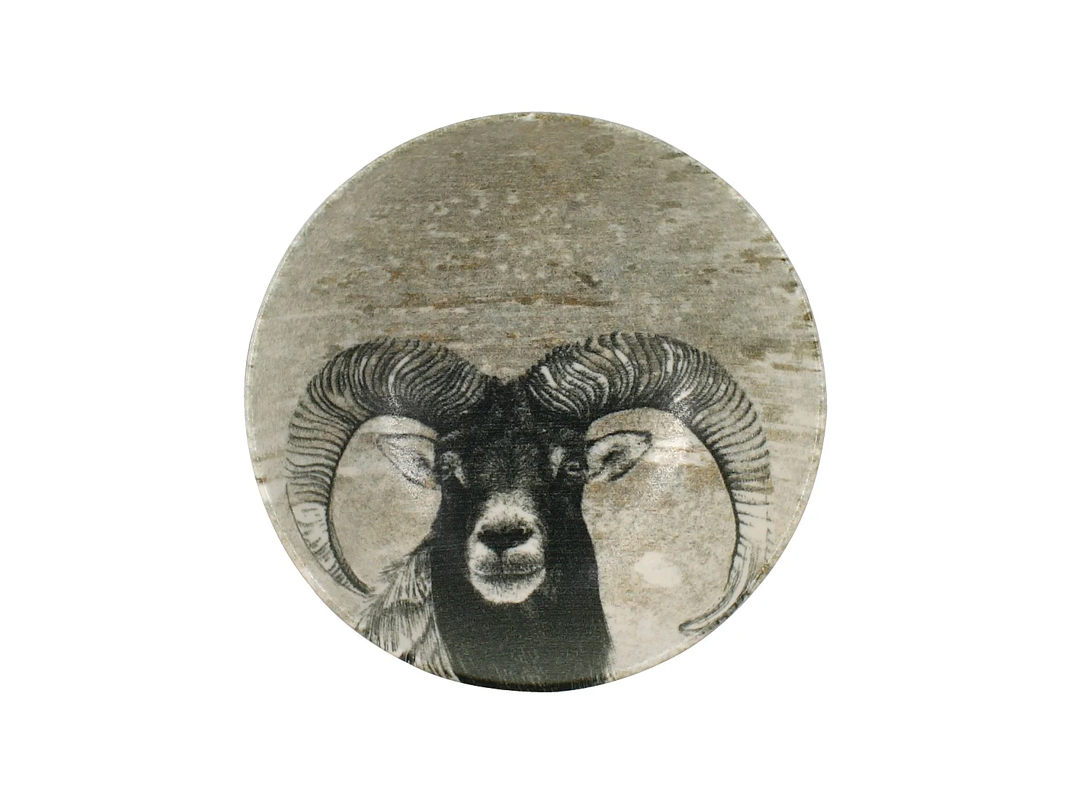 Novastyl - Lot 6 Coupelles Lachat Belier 14cm En Porcelaine