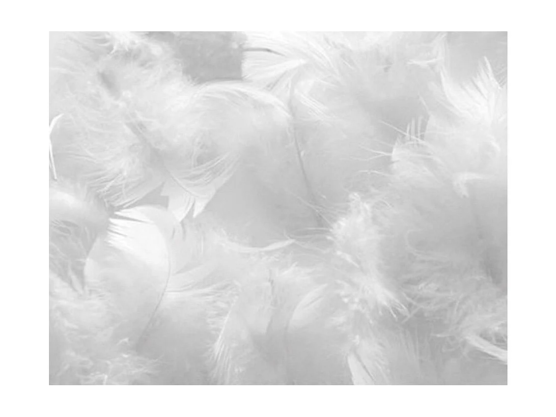 Oreiller pour hôtel 5 étoiles 65x65 percale blanc Palace - Lot de 2