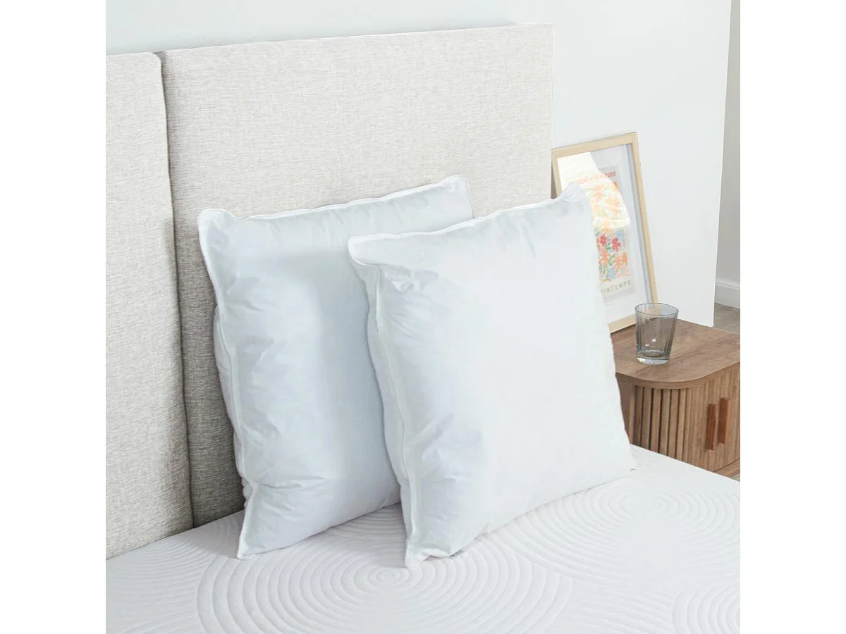 Lot de 2 oreillers Luxotel 60x60 cm Fibres creuses polyester