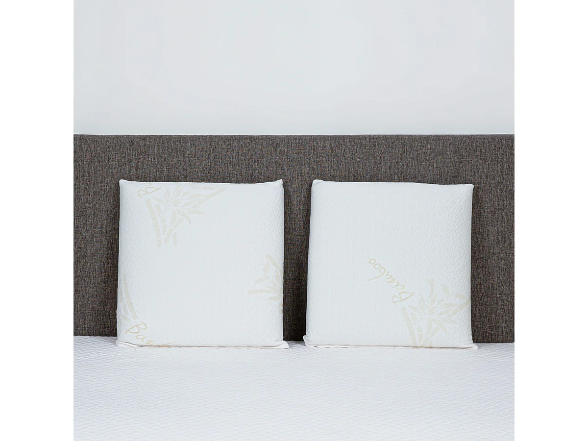 Oreiller 40x60 à mémoire de forme Bio Airy - Lot de 2