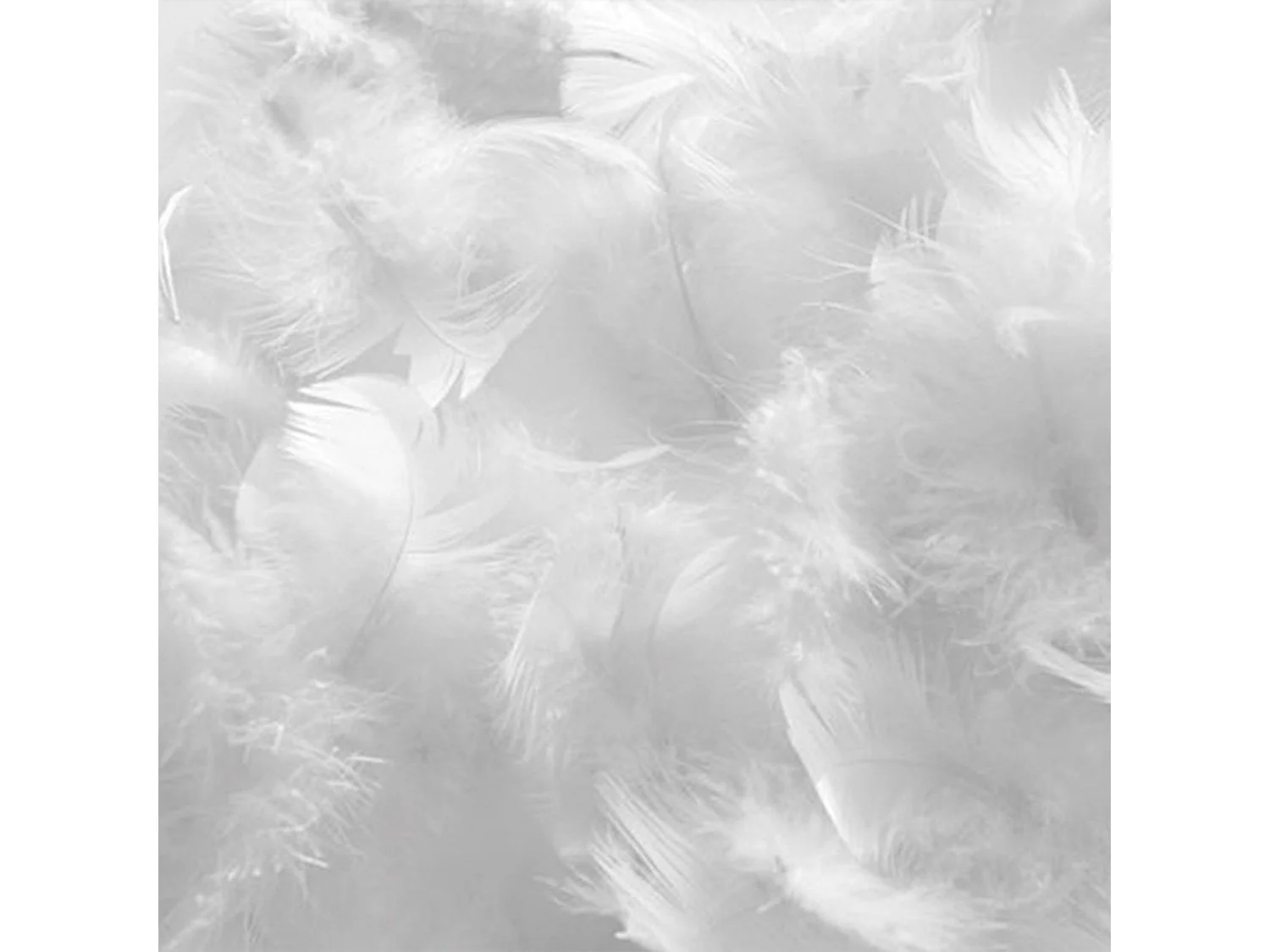 Lot de 4 oreillers Natura 65x65 cm Duvet & Plumess