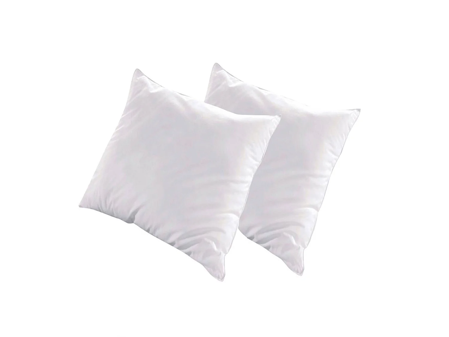 Lot de 2 oreillers ALASKA