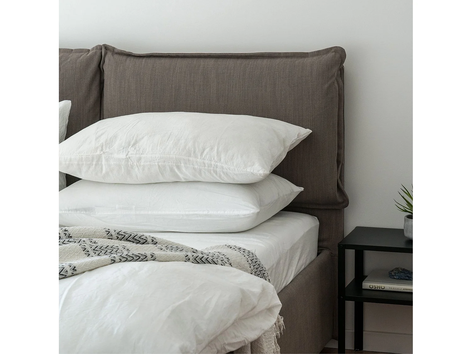 Lot de 2 oreillers ALASKA