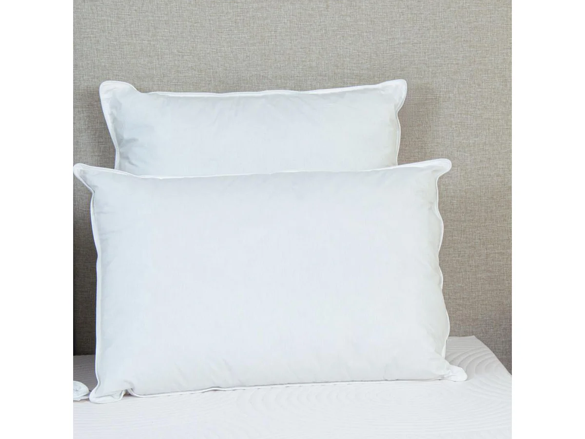 BELLECOUR LITERIE | Oreiller 60x60 cm ALASKA | Fibres creuses polyester