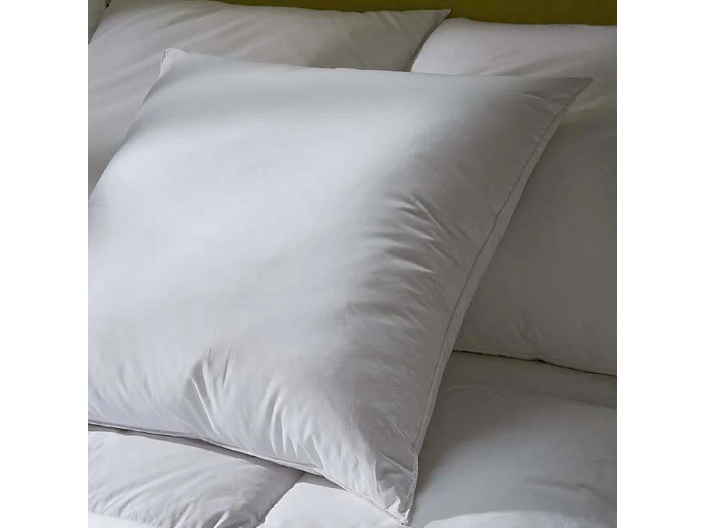 BELLECOUR LITERIE | Oreiller 60x60 cm LUXOTEL | Fibres creuses